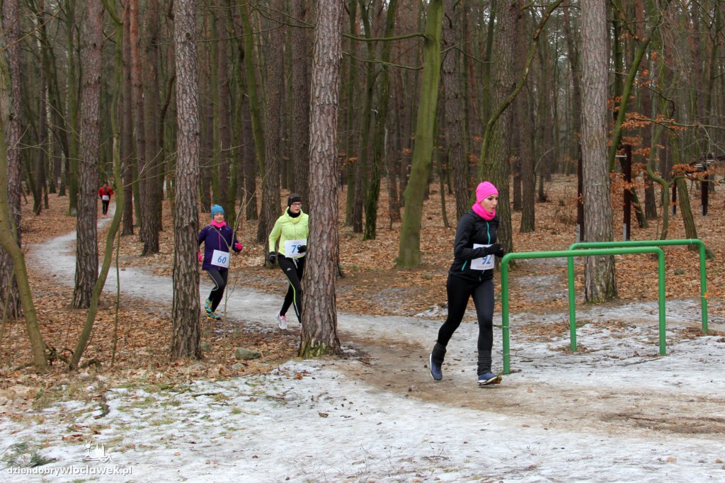 I etap Vladislavia Cross: Las zimą