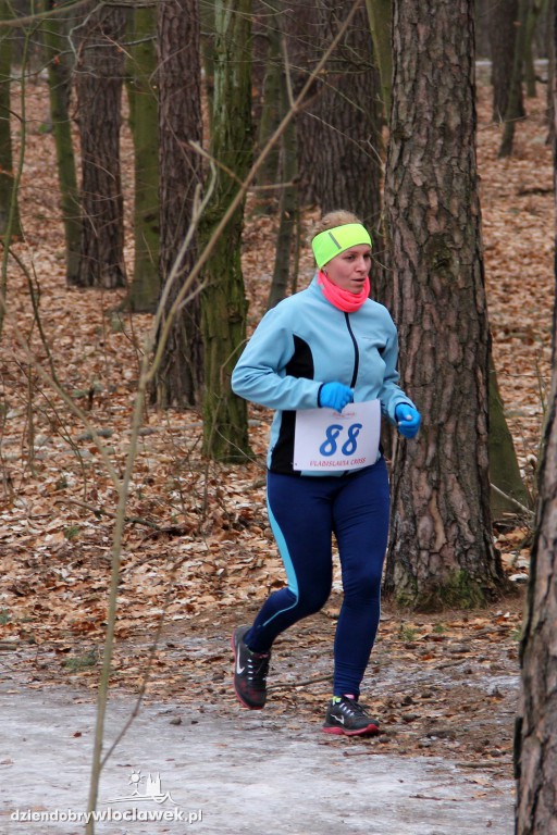 I etap Vladislavia Cross: Las zimą