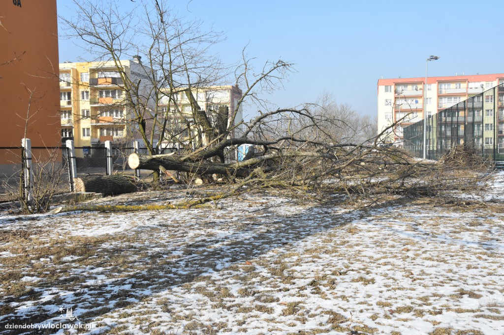 Wycinka przy Gniazdowskiego
