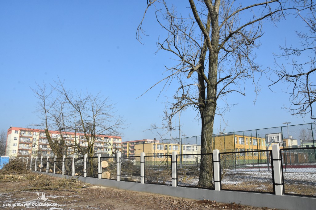 Wycinka przy Gniazdowskiego