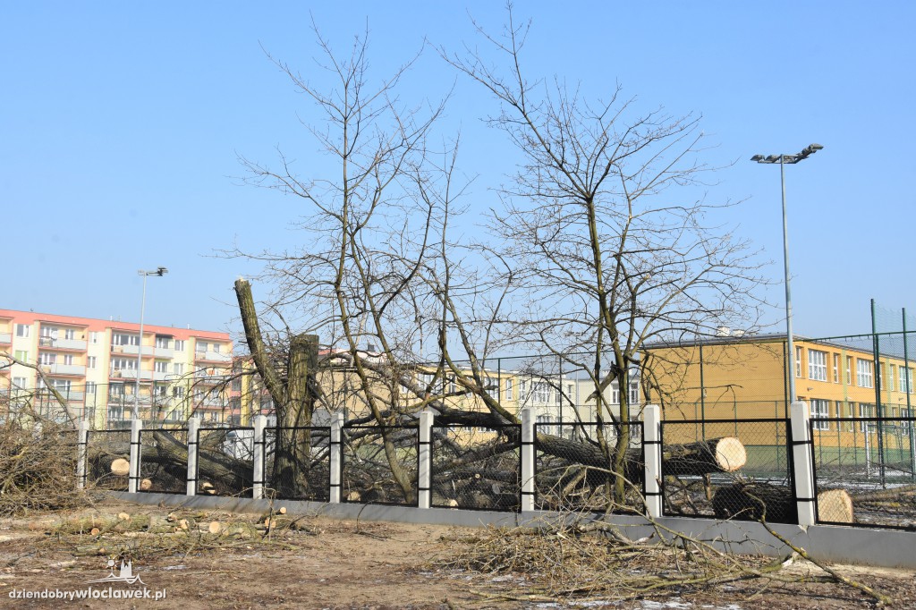 Wycinka przy Gniazdowskiego