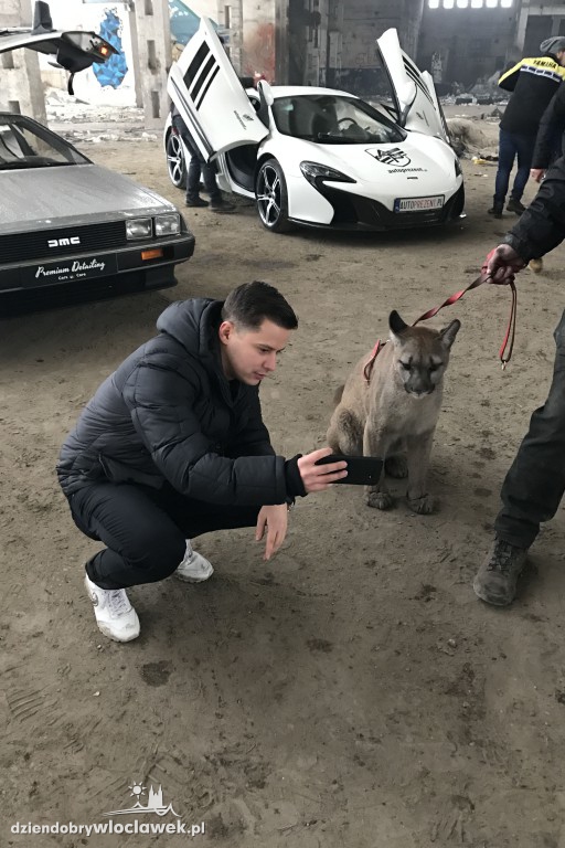 Java Car Design kręci z braćmi Collins
