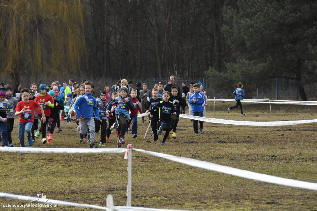 Przełajowe Mistrzostwa Województwa