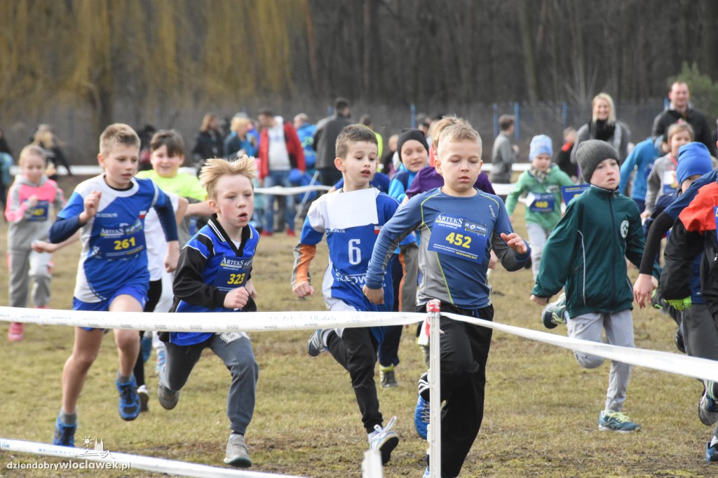Przełajowe Mistrzostwa Województwa
