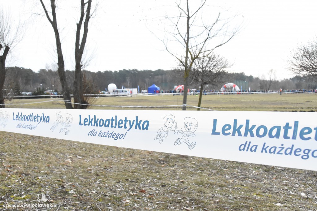 Przełajowe Mistrzostwa Województwa