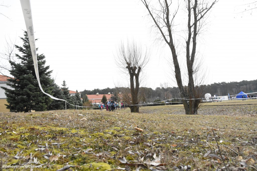 Przełajowe Mistrzostwa Województwa