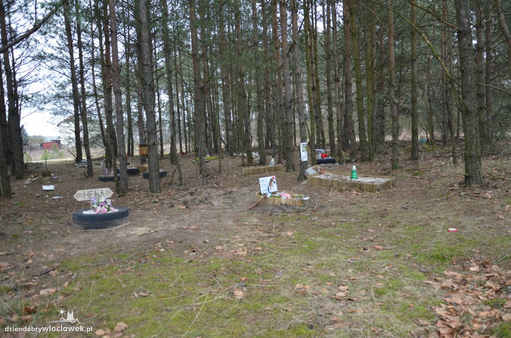 Psi cmentarz przy ul. Wiejskiej