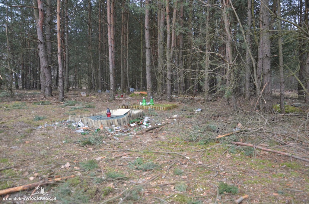 Psi cmentarz przy ul. Wiejskiej