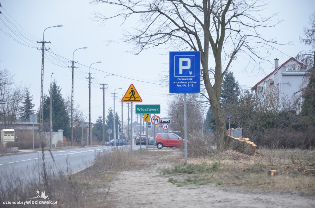 Psi cmentarz przy ul. Wiejskiej