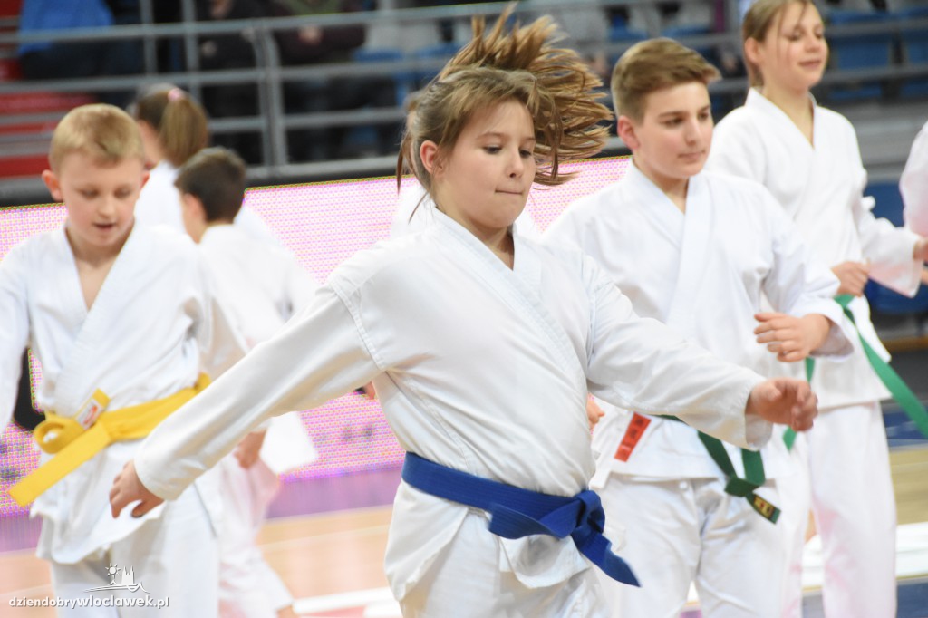 Pokaz karate na meczu Anwilu z AZS-em