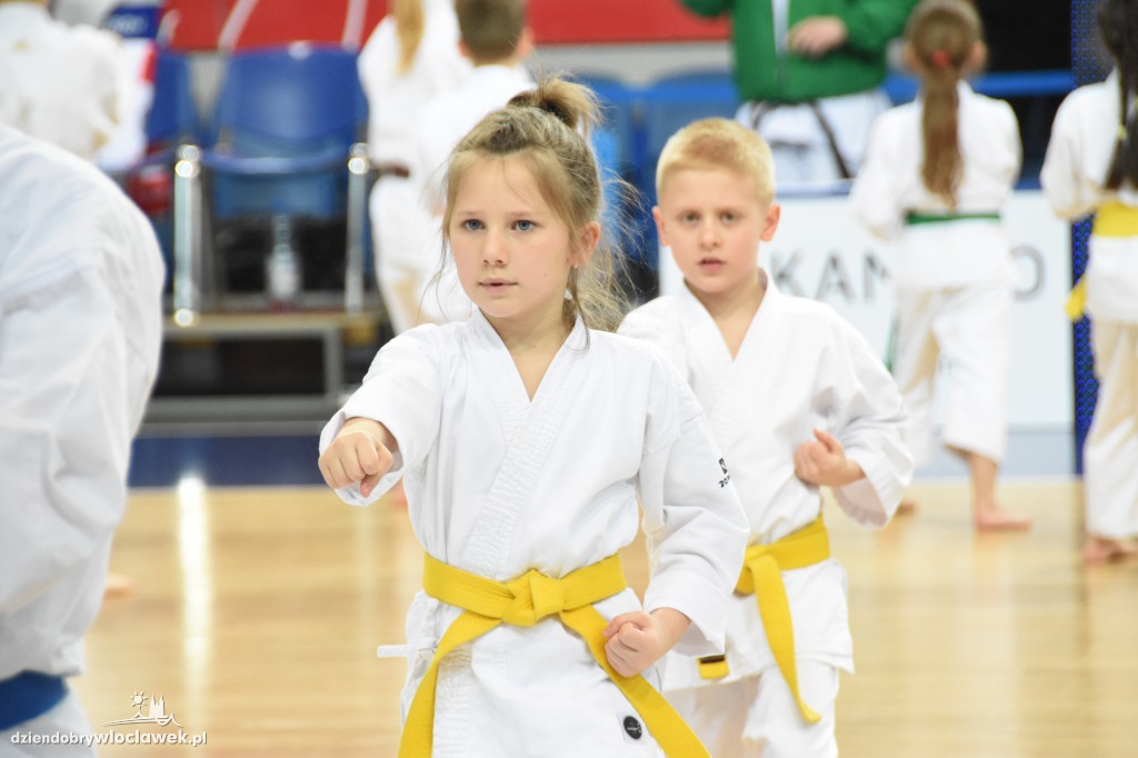 Pokaz karate na meczu Anwilu z AZS-em