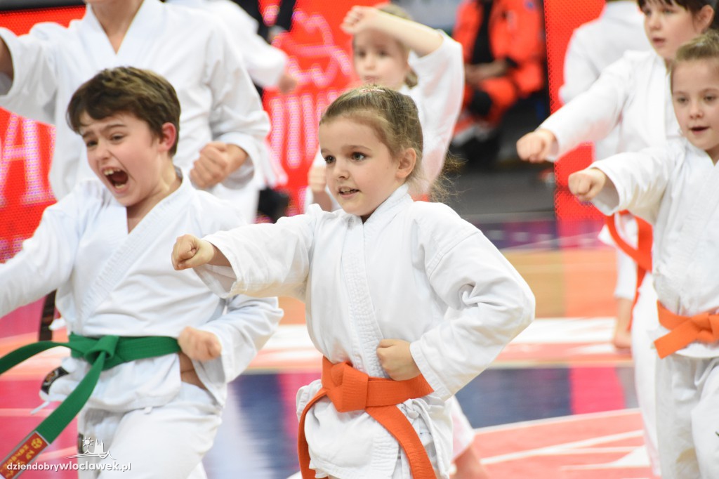 Pokaz karate na meczu Anwilu z AZS-em