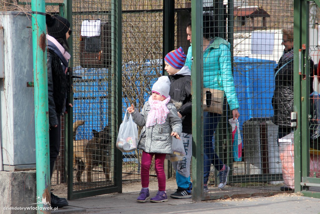 Dni otwarte Schroniska dla zwierząt