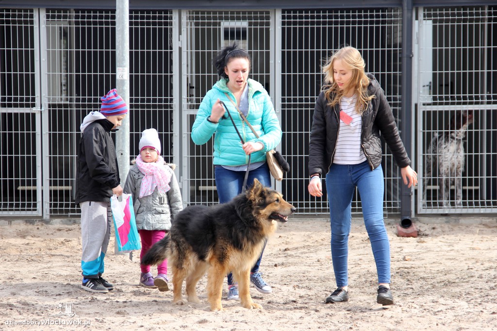 Dni otwarte Schroniska dla zwierząt