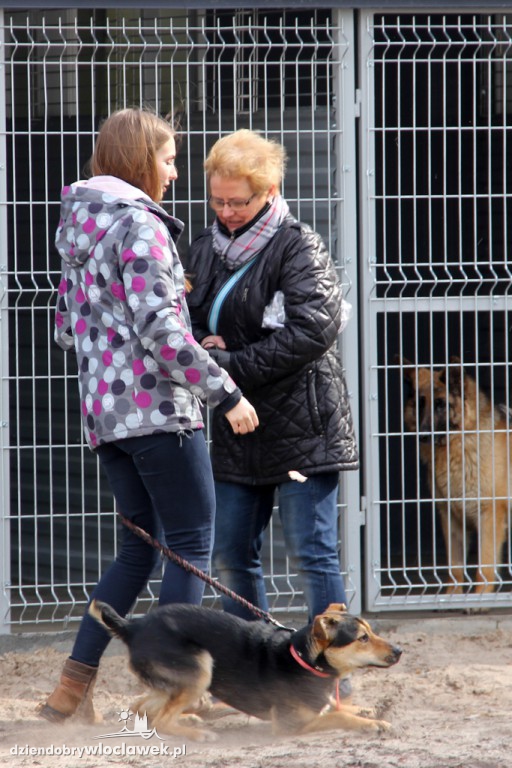 Dni otwarte Schroniska dla zwierząt
