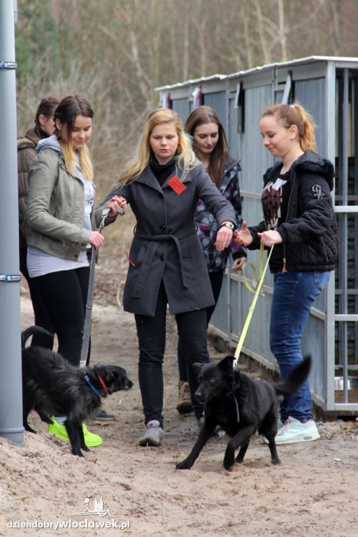 Dni otwarte Schroniska dla zwierząt