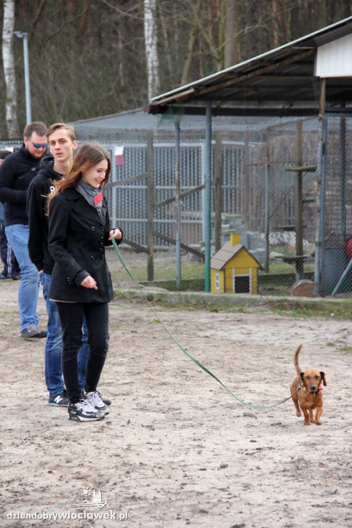 Dni otwarte Schroniska dla zwierząt
