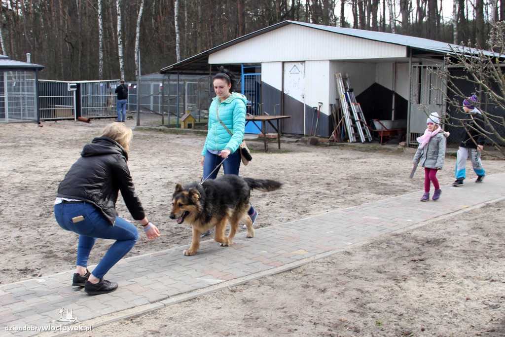 Dni otwarte Schroniska dla zwierząt