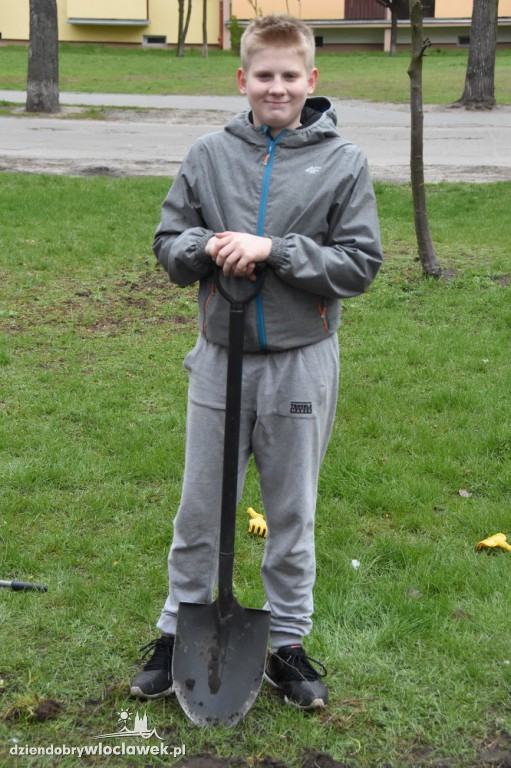 Sadzenie drzew i krzewów przy SP 2