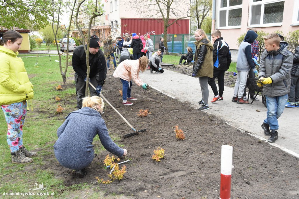 Sadzenie drzew i krzewów przy SP 2