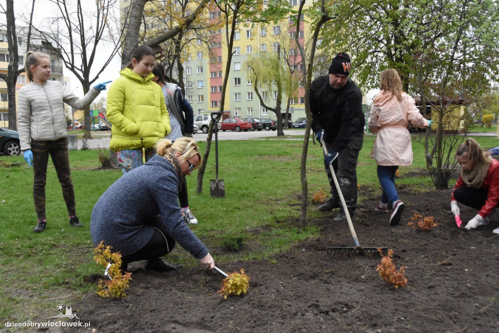 Sadzenie drzew i krzewów przy SP 2