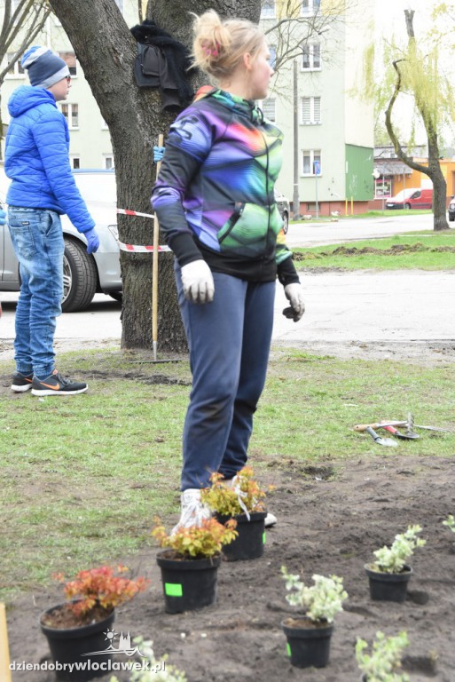 Sadzenie drzew i krzewów przy SP 2