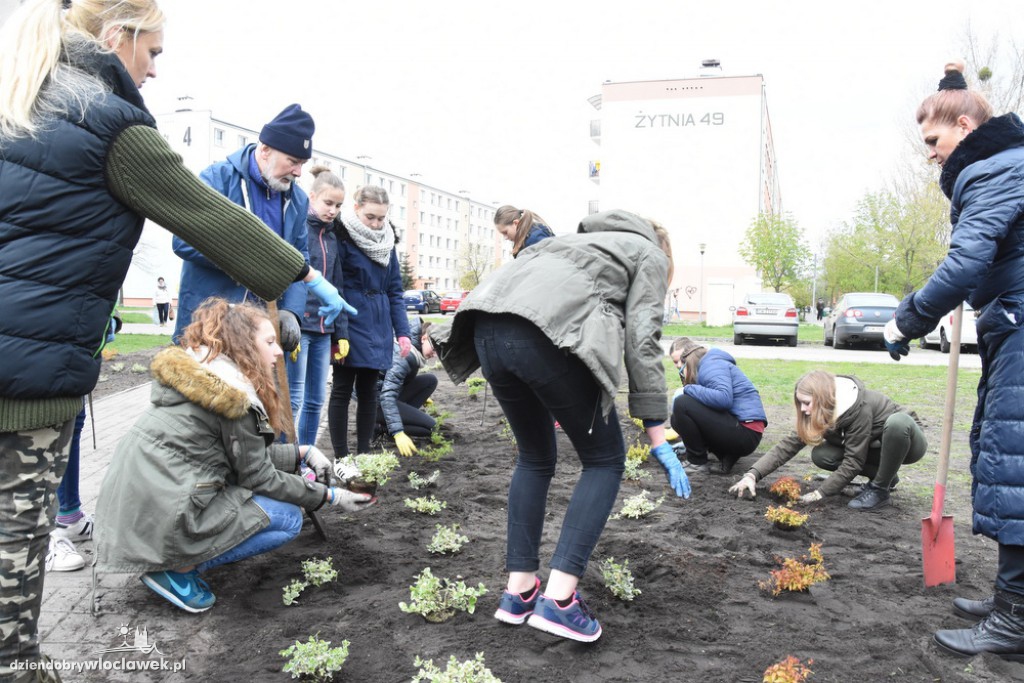 Sadzenie drzew i krzewów przy SP 2
