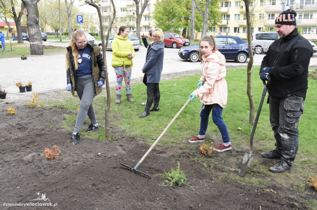 Sadzenie drzew i krzewów przy SP 2