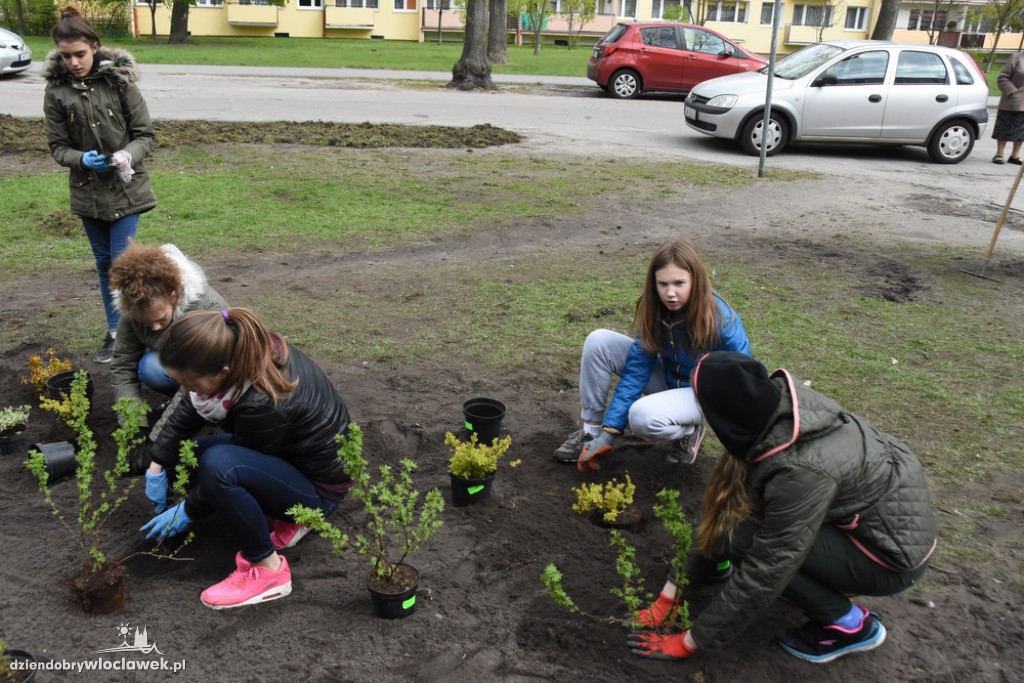 Sadzenie drzew i krzewów przy SP 2