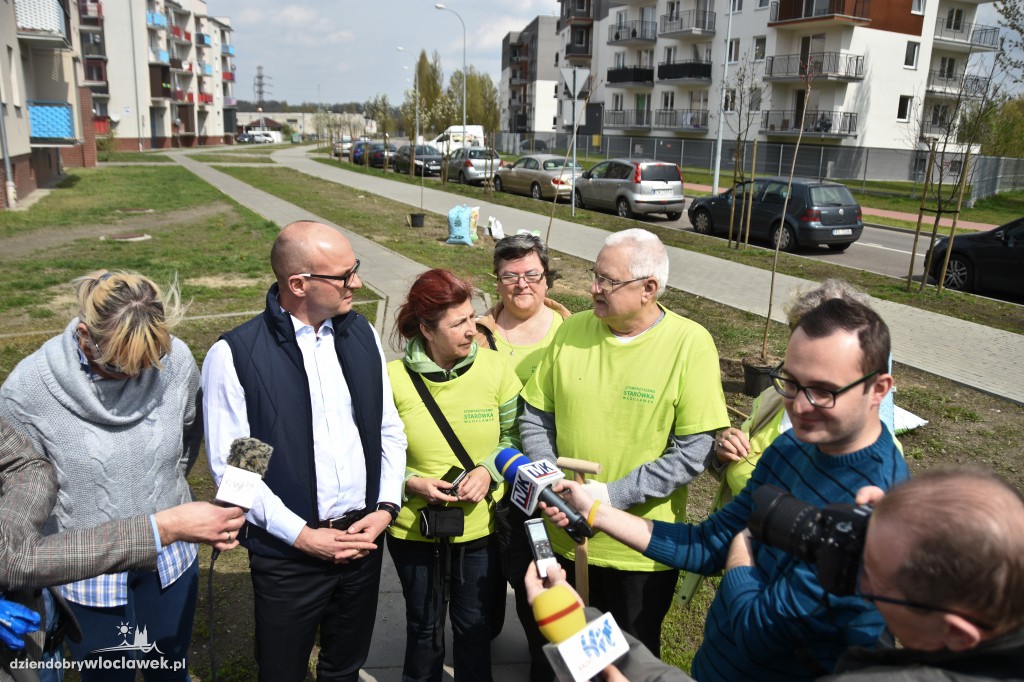 Posadzili drzewa i krzewy przy...