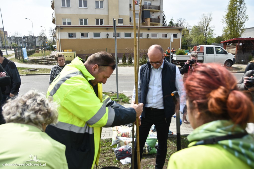 Posadzili drzewa i krzewy przy...