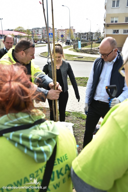 Posadzili drzewa i krzewy przy...