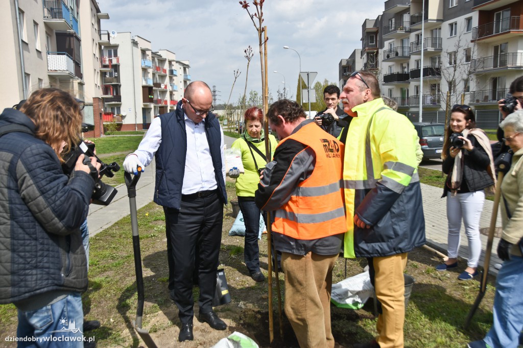 Posadzili drzewa i krzewy przy...