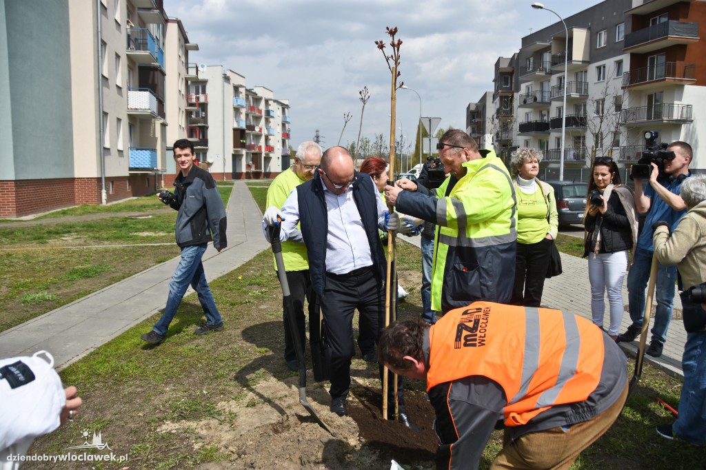 Posadzili drzewa i krzewy przy...