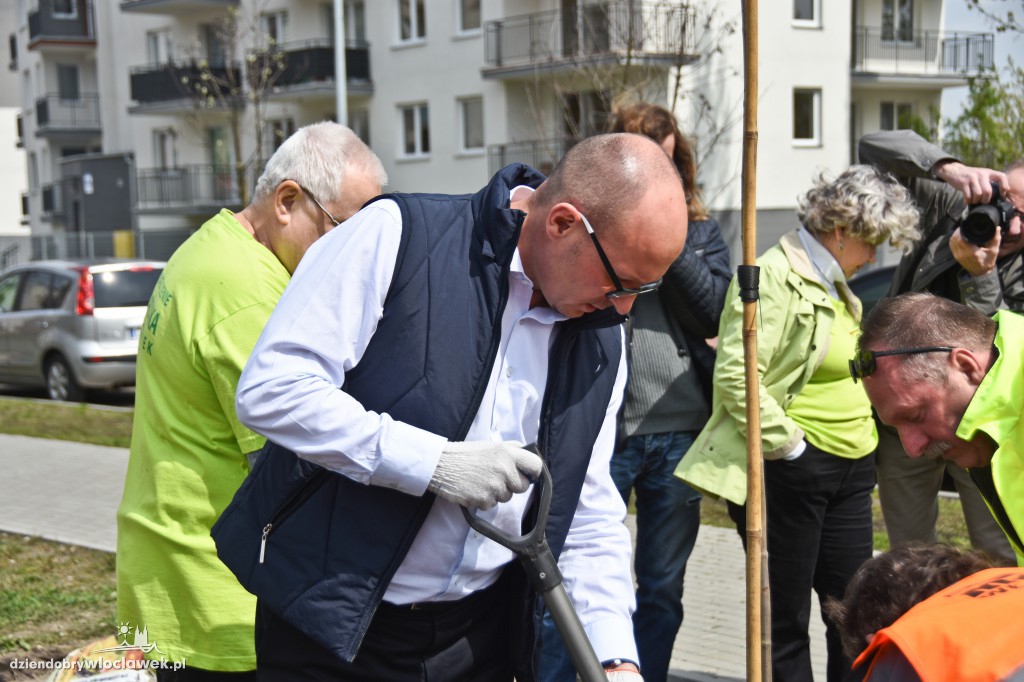 Posadzili drzewa i krzewy przy...
