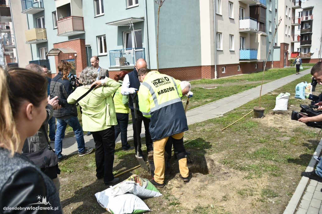 Posadzili drzewa i krzewy przy...