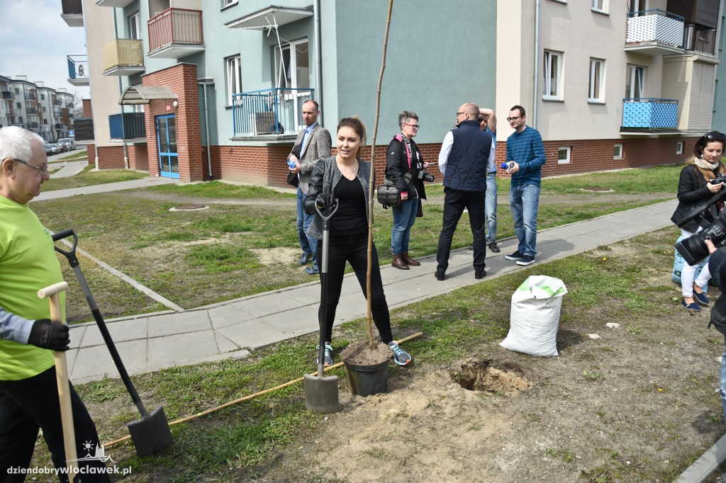 Posadzili drzewa i krzewy przy...