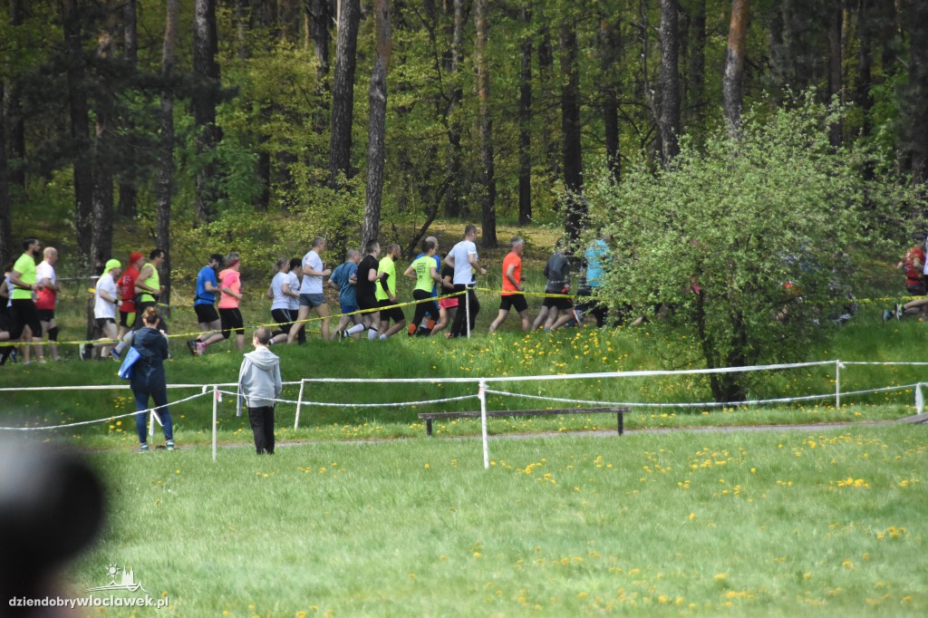 35. Bieg Kujawiaka: bieg główny