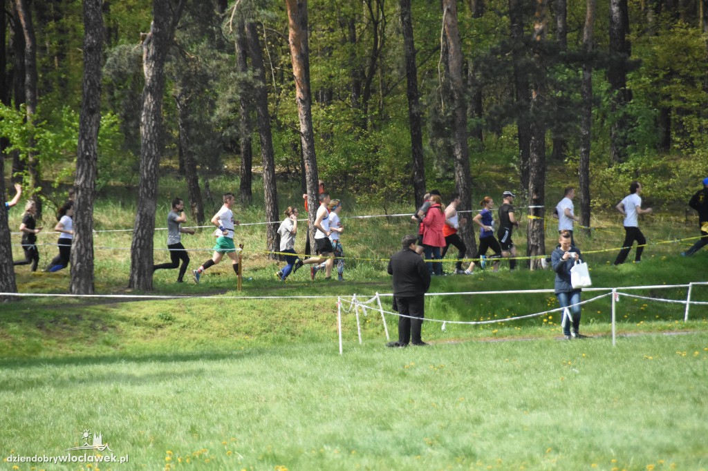 35. Bieg Kujawiaka: bieg główny