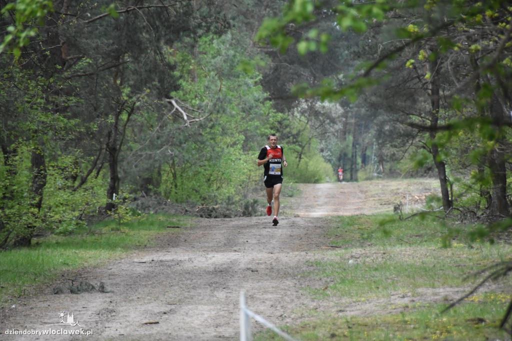 35. Bieg Kujawiaka: bieg główny