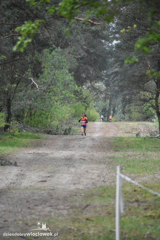 35. Bieg Kujawiaka: bieg główny