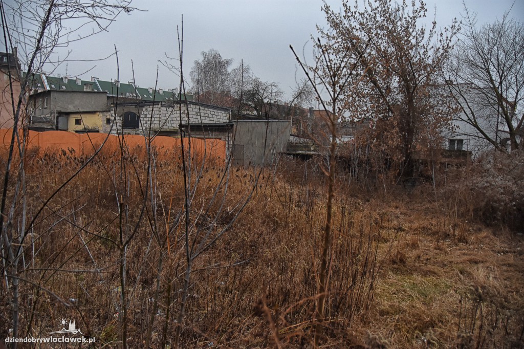 Rewitalizacja. Rusza nabór do grup roboczych