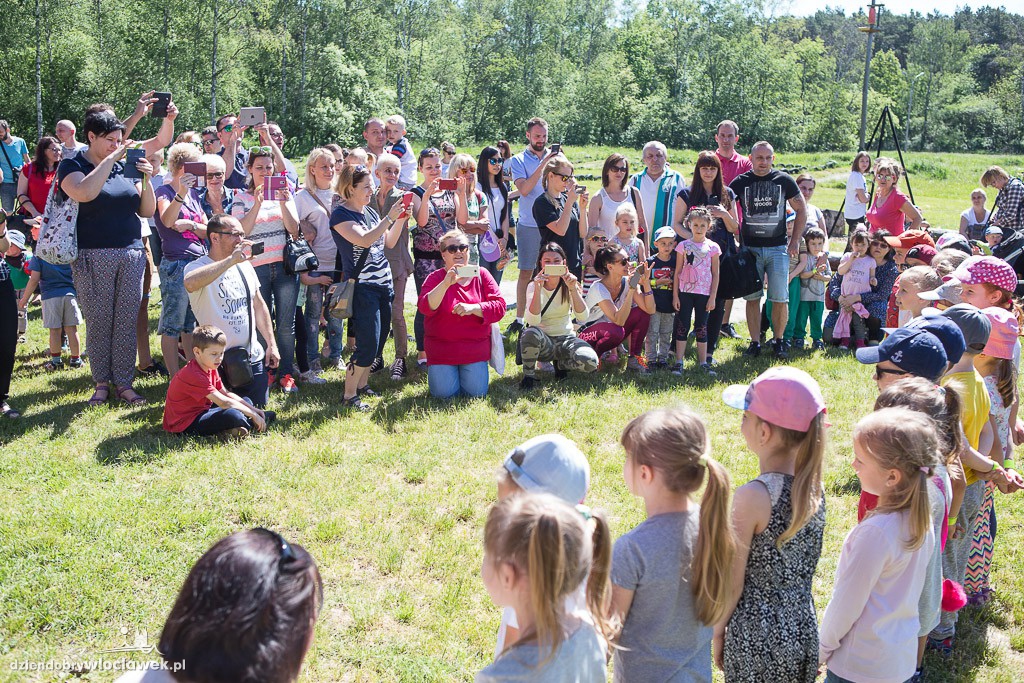 Piknik z okazji dnia mamy, taty i dziecka