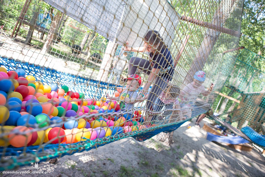 Piknik z okazji dnia mamy, taty i dziecka