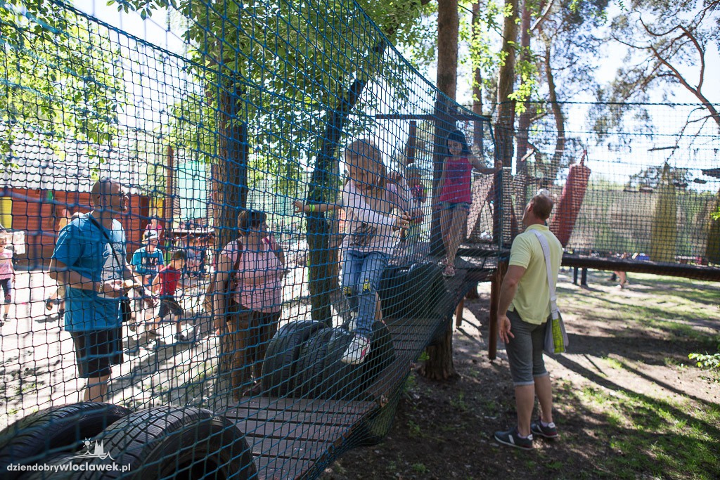 Piknik z okazji dnia mamy, taty i dziecka