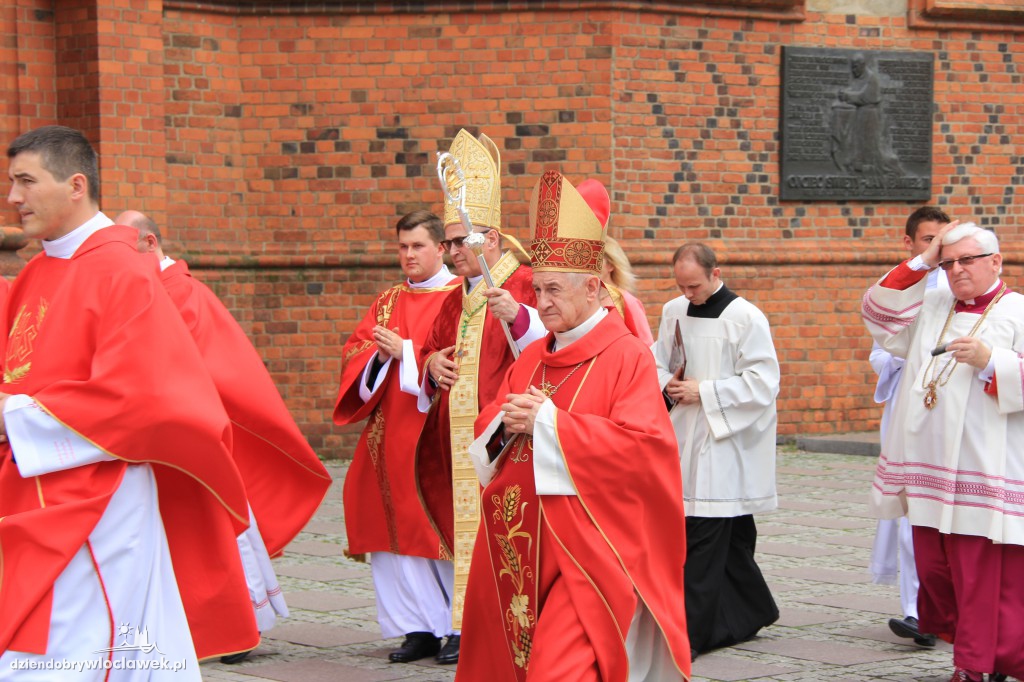Święcenia kapłańskie w katedrze
