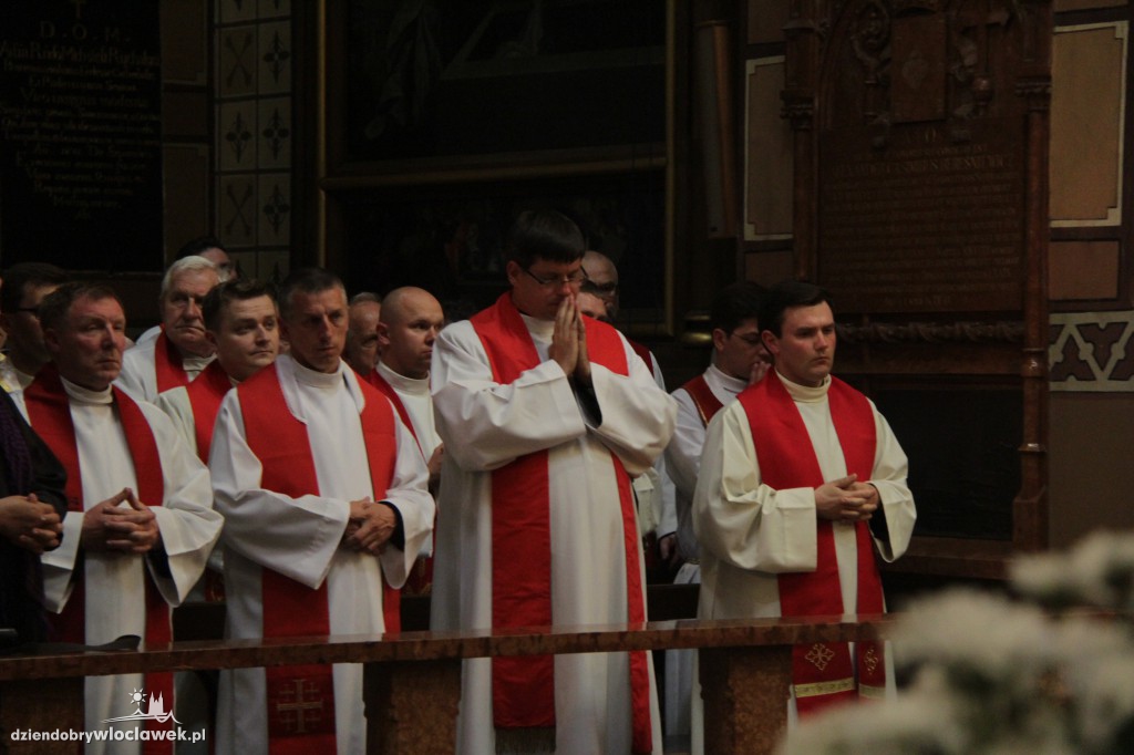 Święcenia kapłańskie w katedrze