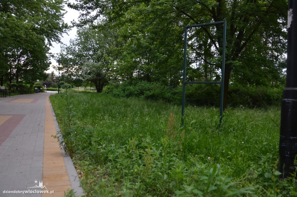 Park Łokietka zapuszczony. Dlaczego?