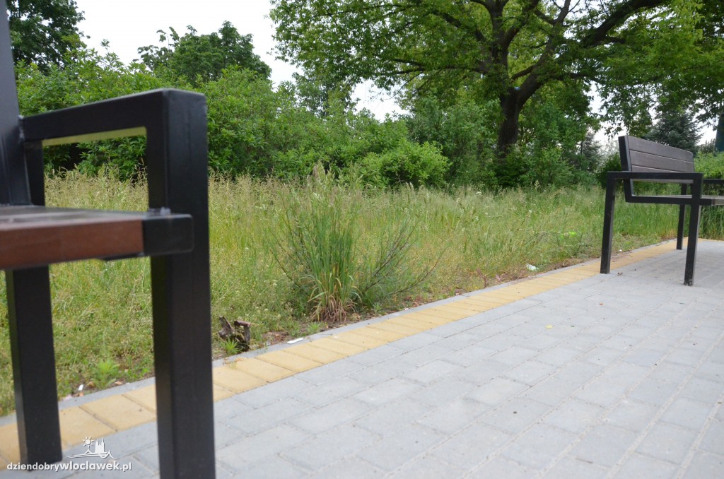 Park Łokietka zapuszczony. Dlaczego?