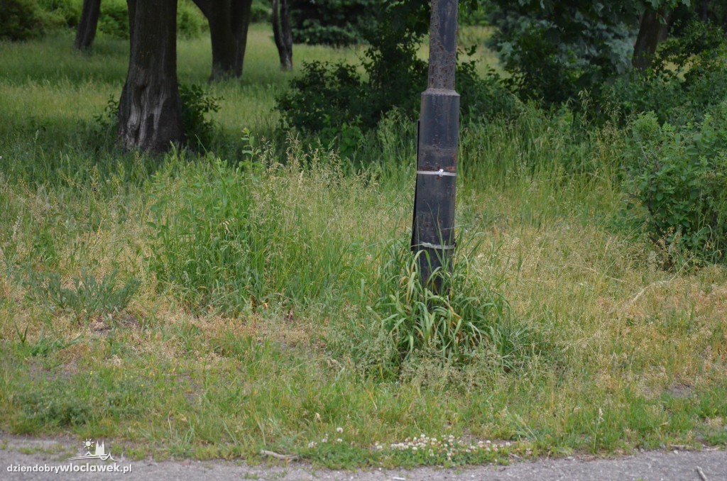 Park Łokietka zapuszczony. Dlaczego?